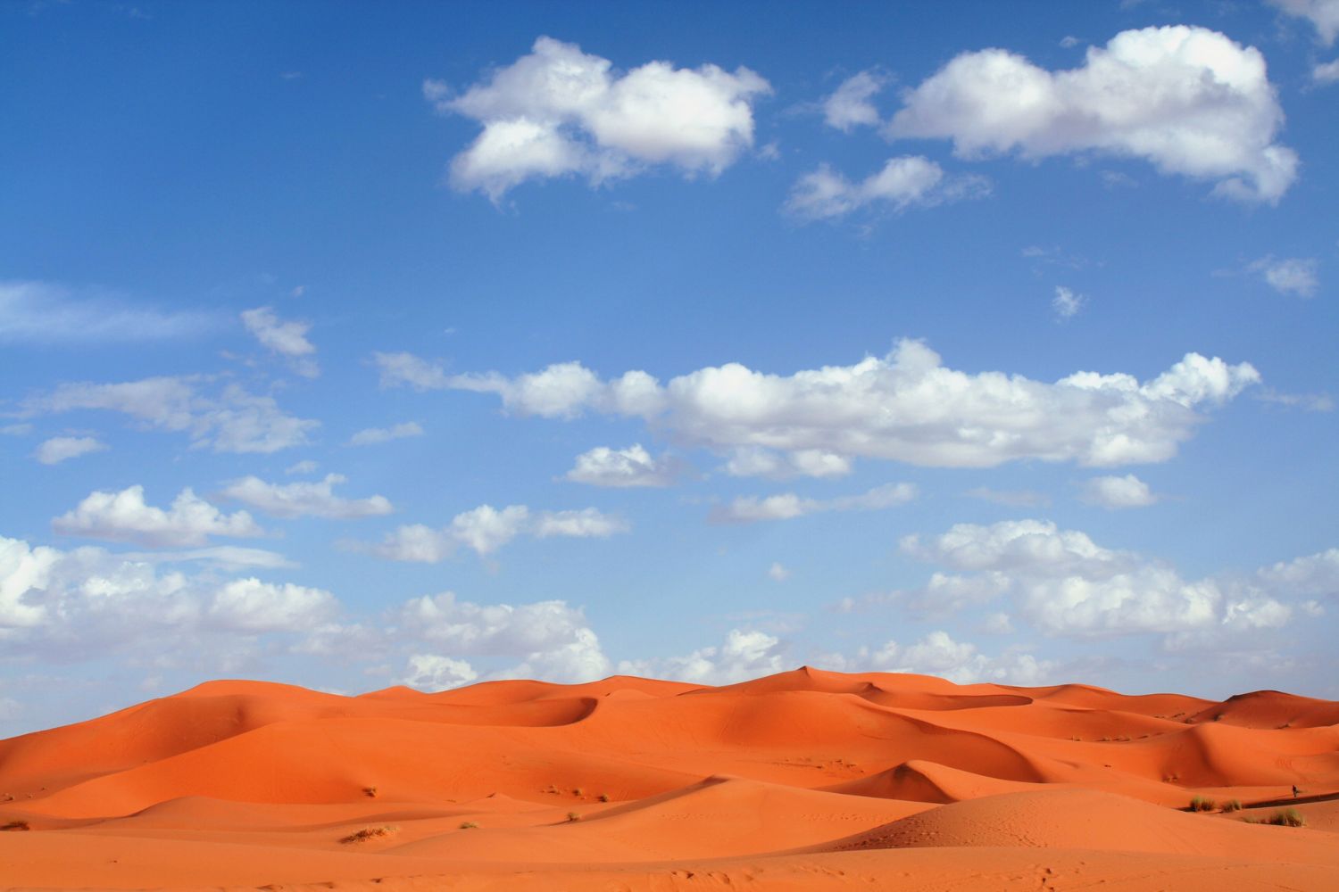 7 Day Marrakech to Fès via the Desert